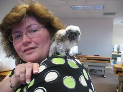 Sue Farrell