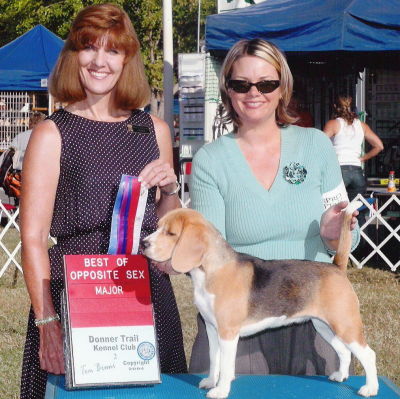 Shelley Crovetto