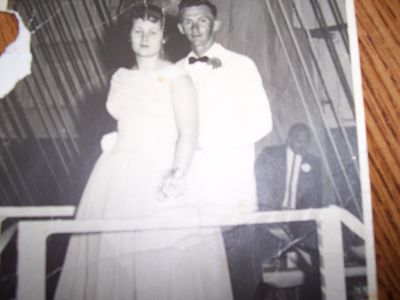 Wilma Dowd
