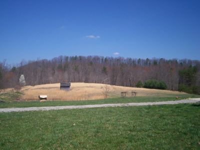 Austin Farmer