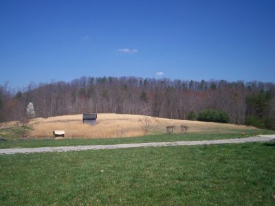 Austin Farmer