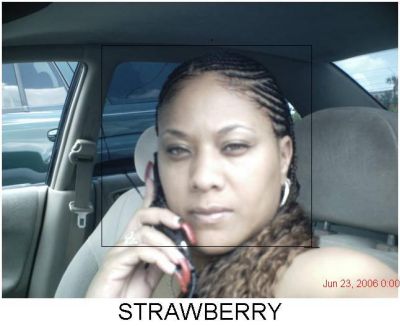 Michelle Loston