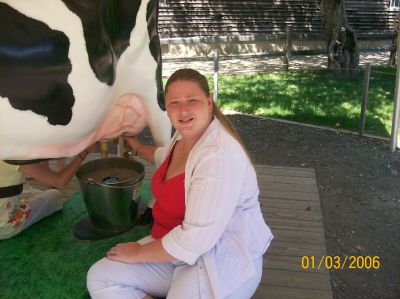 Tammy Stueve