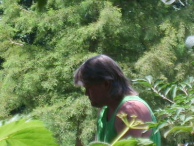 Scott Ijams