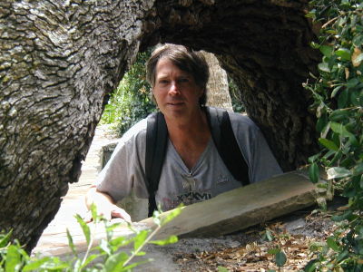 David Gwyn
