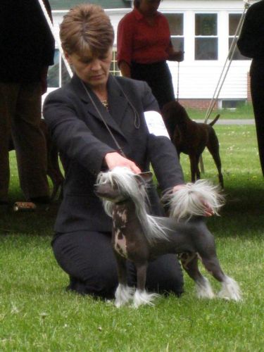 Deborah Larochelle