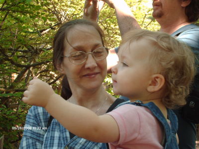 Paula Carpenter