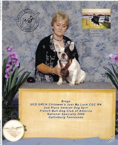 Kathy Clayton