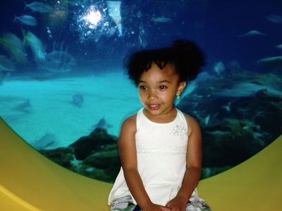 Tania Allen
