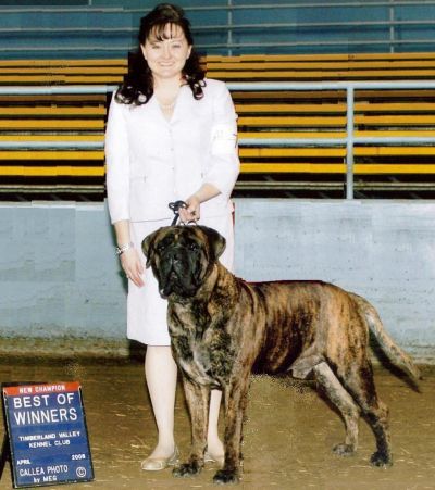 Dawna Hoerle