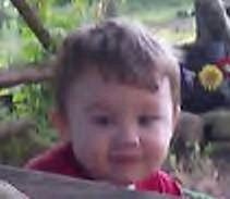 Steven Lewis