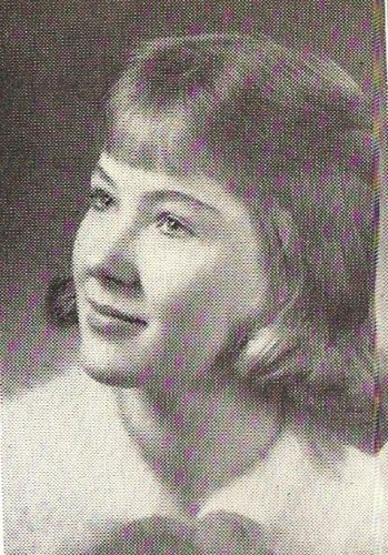 Ann Williams