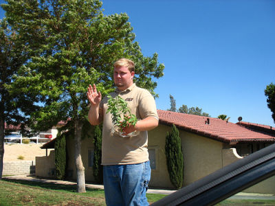 Joshua Nebgen