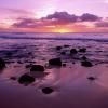 Dawn Gazzola