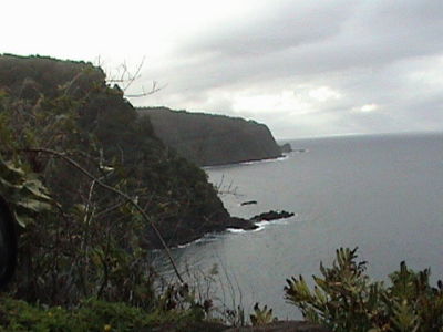 Adrienne Pulu