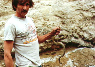 Steven Brandlein