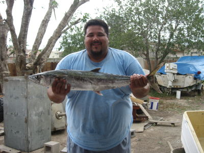 Ernesto Rosales