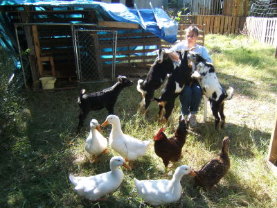 Cynthia Klocke