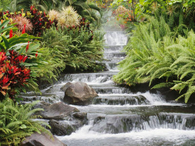 Tara Coban