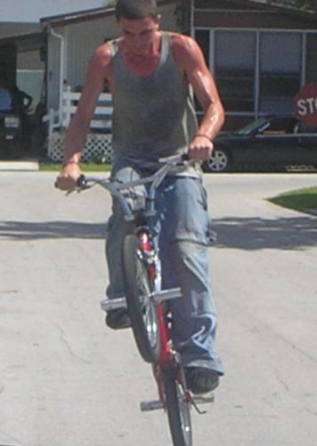 David Emery