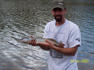 Wade Mcafee
