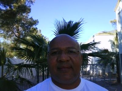 Wayne Jones