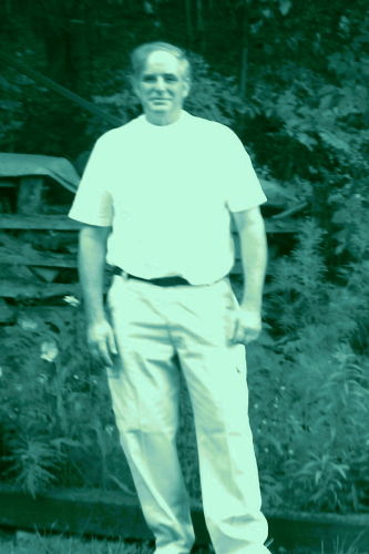 Peter Bradford
