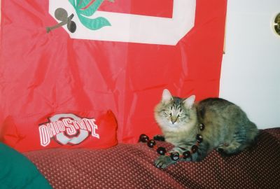 Janet Stickler