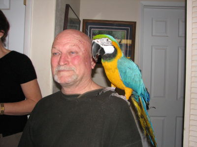 Robert Borchard
