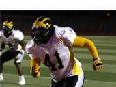 Damien Branch