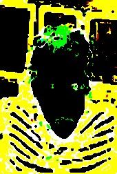 Andrew Doss