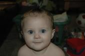 Ivy Reed
