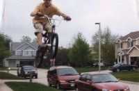 Zane Geis