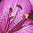 Sylvia Evans
