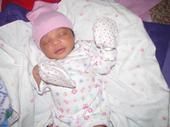 Shaquita Sandifer