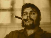 Robert Arocho
