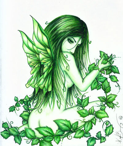 Trisha Ledbetter