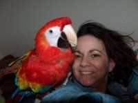 Pamela Fargo