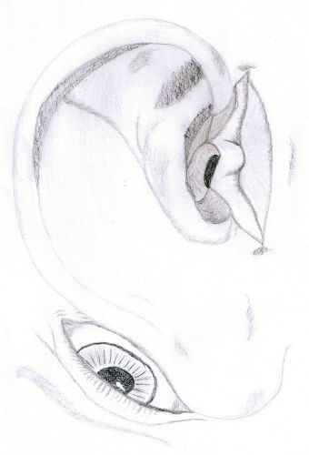 Rebecca Seaward
