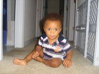 Lamontee Stephens