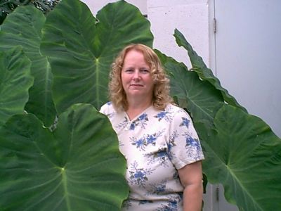Susan Howsare