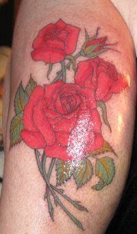 Susan Bicknell