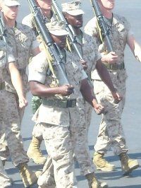 David Mcneal