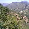 Rajesh Bhattarai