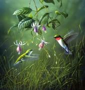Sheila Littlefield