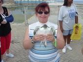 Tracy Baumgarten