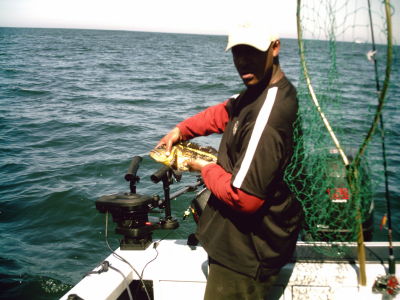 Demar Hagger