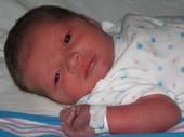Jeremy Ryan
