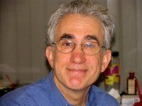 Robert Halper