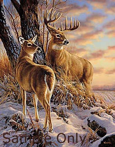David Horton